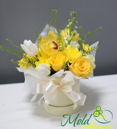 Cutiuță cu trandafiri galbeni si orhidee galbena foto 394x433